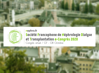 comptes rendus, Congrs de la SFNDT 2020