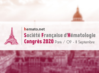 comptes rendus, 40e Congr�s de la SFH