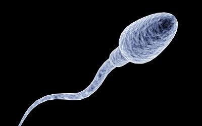 Effect of sperm DNA fragmentation on the clinical outcomes for in vitro fertilization and intracytoplasmic sperm injection in women with different ovarian reserves