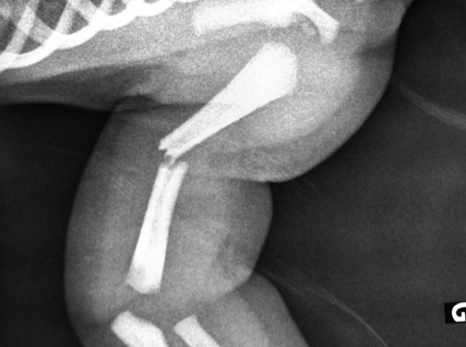 Attention&nbsp;: certificat