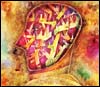 Vieillissement c�r�bral&nbsp;: quel est le r�le des anti-oxydants&nbsp;?