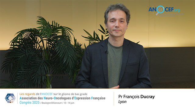 video, interview, imedia