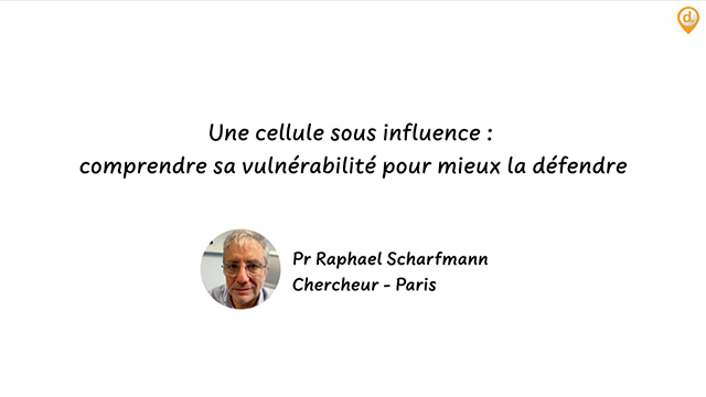 video, interview, imedia